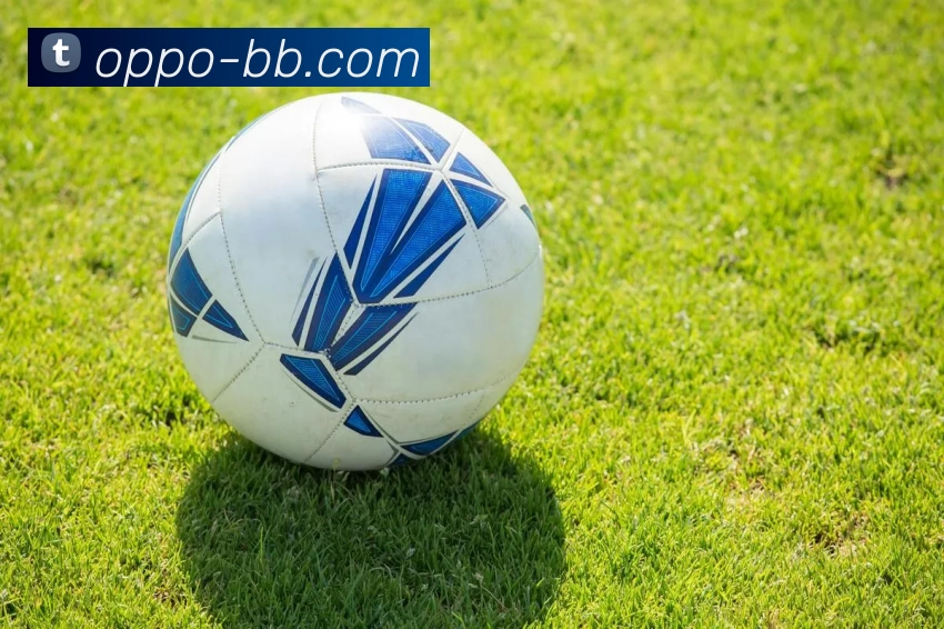 贝博体育全站App